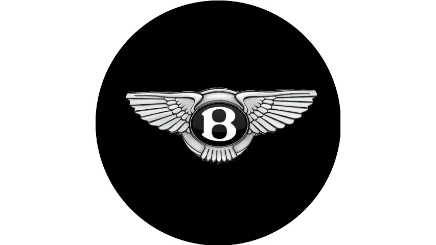 Bakley_V1